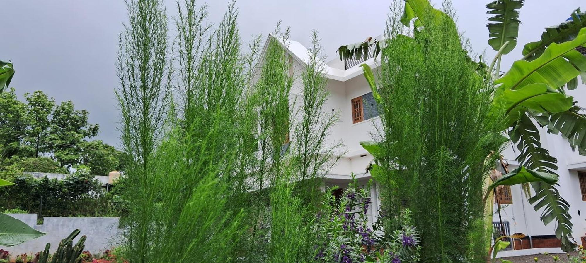 Rockland Holidays Ramakkalmedu Exterior foto